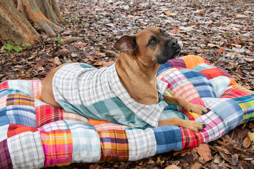 Highland Flannels - Buffalo Plaid in Loch Yardage