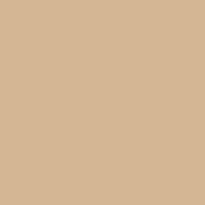 Signature Pure Solids in Ginger Yardage