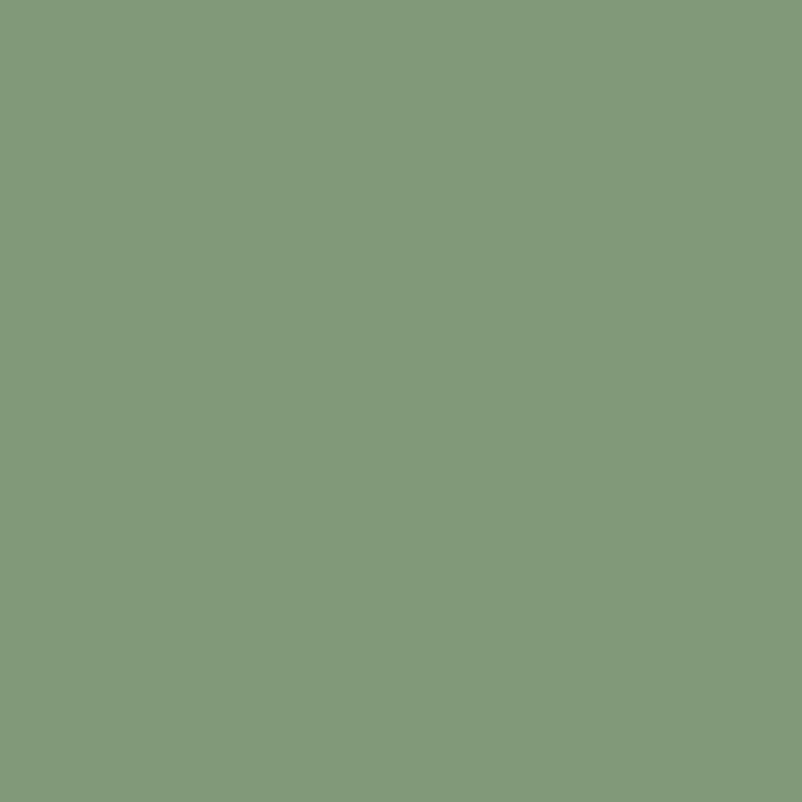 Signature Pure Solids in Matcha Yardage