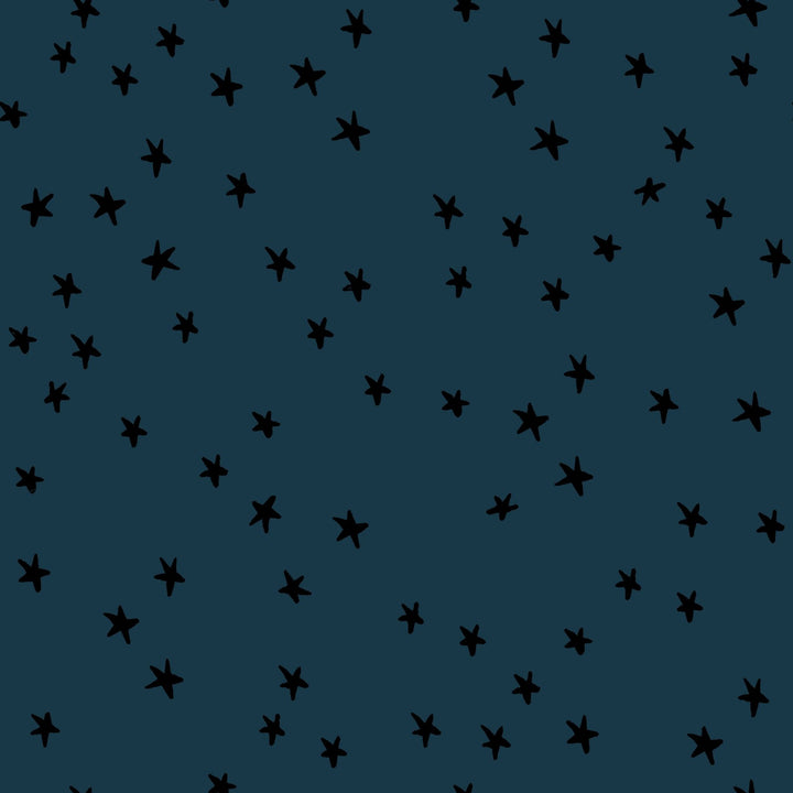 108" Starry in Smoke Yardage