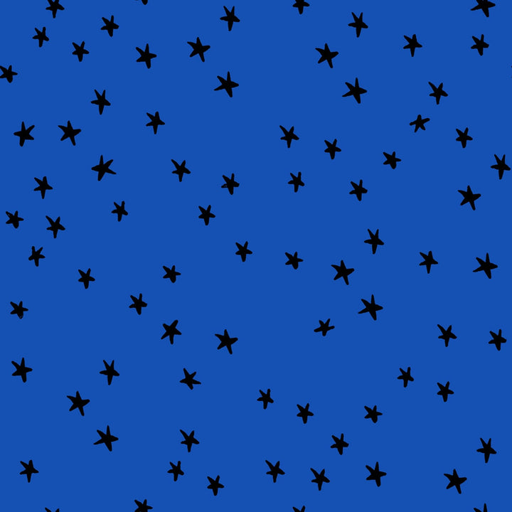 Starry in Blue Ribbon Yardage