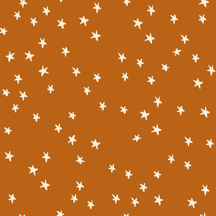 Starry in Saddle Yardage
