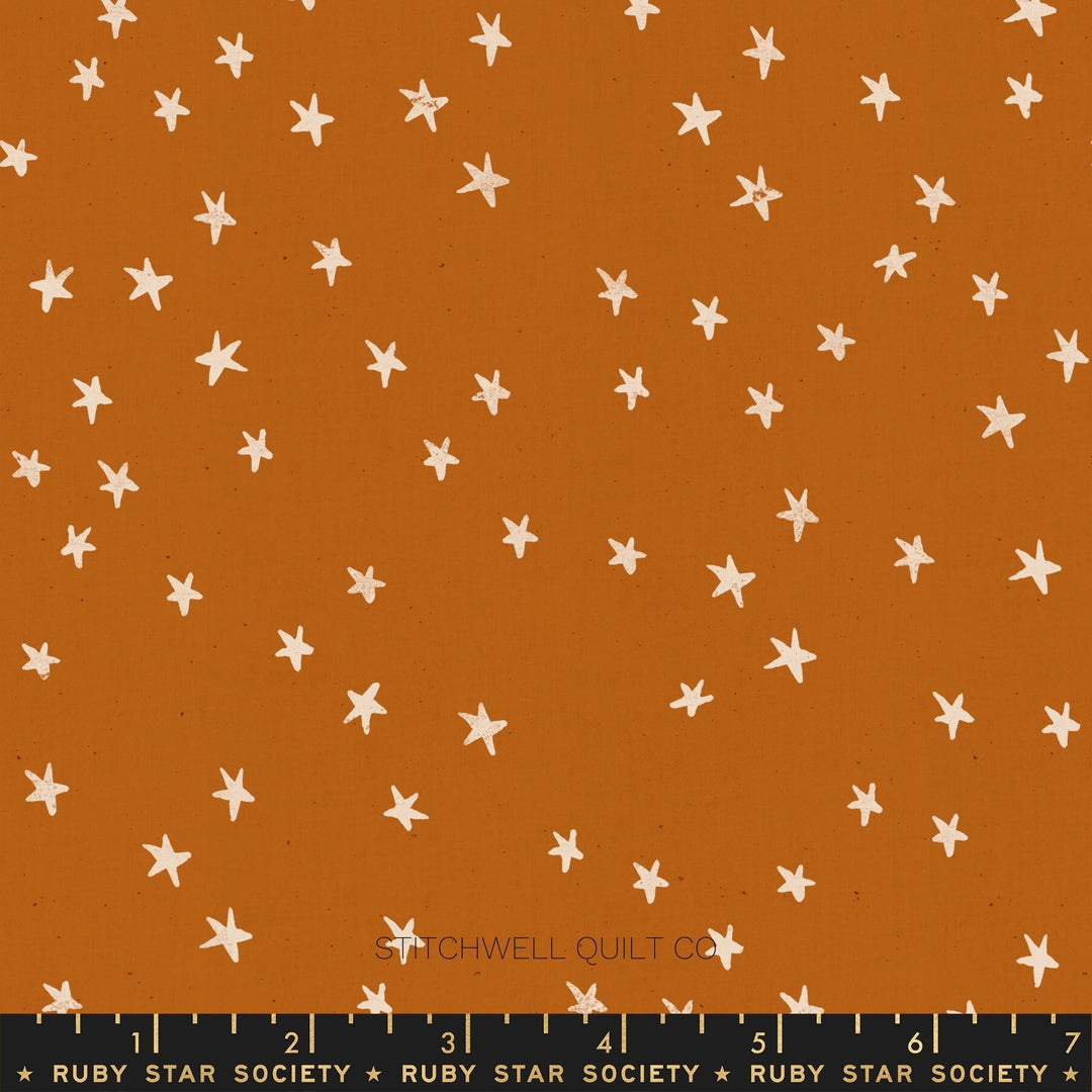 Starry in Saddle Yardage
