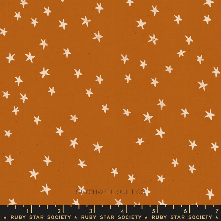 Starry in Saddle Yardage